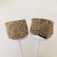 S’Mores on a Stick